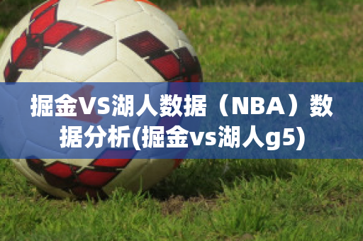 掘金VS湖人数据（NBA）数据分析(掘金vs湖人g5)