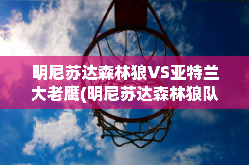 明尼苏达森林狼VS亚特兰大老鹰(明尼苏达森林狼队)