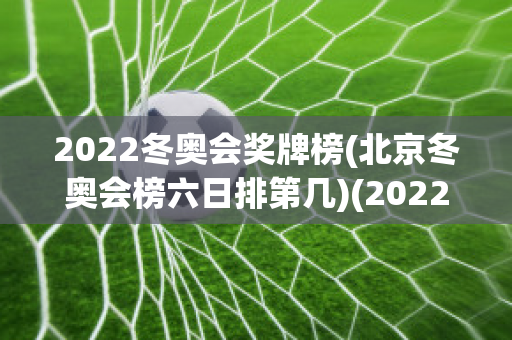 2022冬奥会奖牌榜(北京冬奥会榜六日排第几)(2022北京冬奥会奖牌总数)