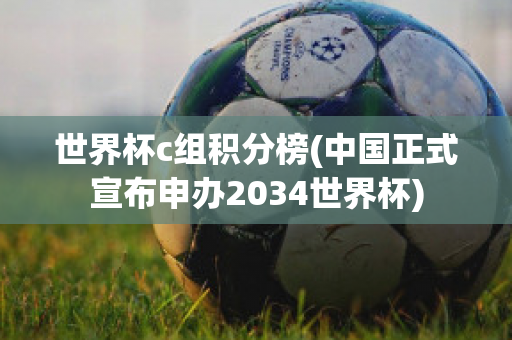 世界杯c组积分榜(中国正式宣布申办2034世界杯)