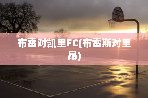 布雷对凯里FC(布雷斯对里昂)