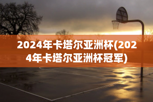 2024年卡塔尔亚洲杯(2024年卡塔尔亚洲杯冠军)