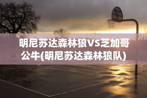 明尼苏达森林狼VS芝加哥公牛(明尼苏达森林狼队)