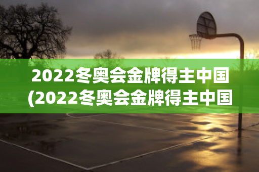 2022冬奥会金牌得主中国(2022冬奥会金牌得主中国是谁)