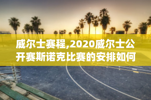 威尔士赛程,2020威尔士公开赛斯诺克比赛的安排如何(威尔士斯诺克赛程2021)