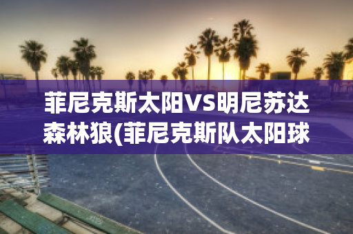 菲尼克斯太阳VS明尼苏达森林狼(菲尼克斯队太阳球员)