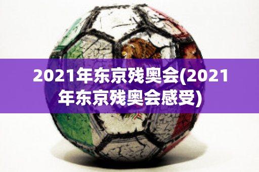 2021年东京残奥会(2021年东京残奥会感受)