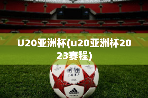 U20亚洲杯(u20亚洲杯2023赛程)