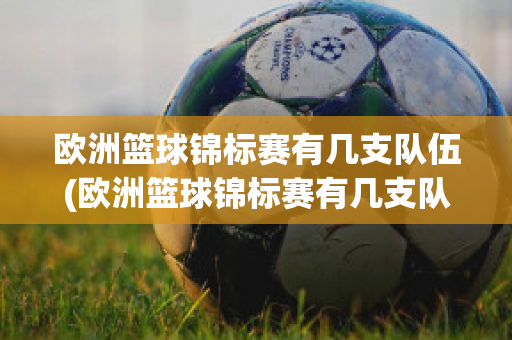 欧洲篮球锦标赛有几支队伍(欧洲篮球锦标赛有几支队伍参赛)