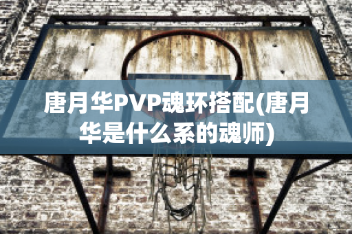 唐月华PVP魂环搭配(唐月华是什么系的魂师)