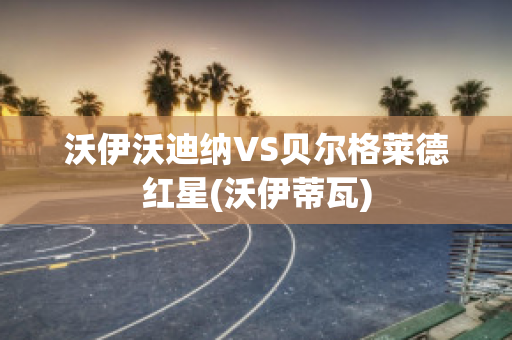 沃伊沃迪纳VS贝尔格莱德红星(沃伊蒂瓦)