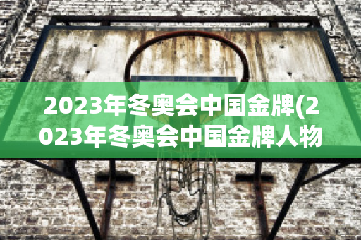 2023年冬奥会中国金牌(2023年冬奥会中国金牌人物是谁)