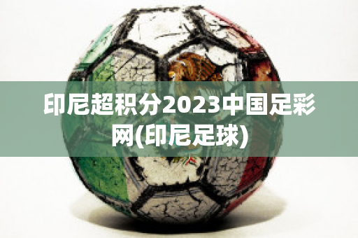 印尼超积分2023中国足彩网(印尼足球)