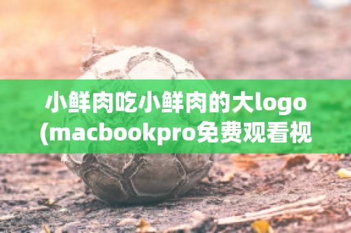 小鲜肉吃小鲜肉的大logo(macbookpro免费观看视频)