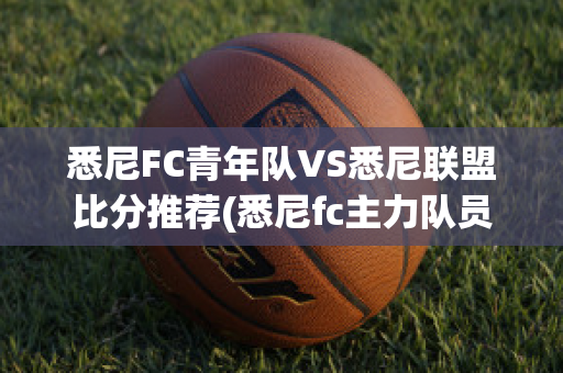 悉尼FC青年队VS悉尼联盟比分推荐(悉尼fc主力队员)