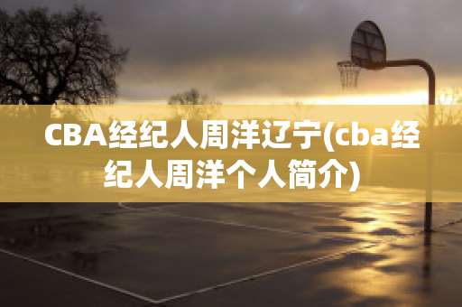 CBA经纪人周洋辽宁(cba经纪人周洋个人简介)