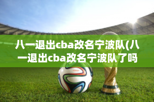 八一退出cba改名宁波队(八一退出cba改名宁波队了吗)