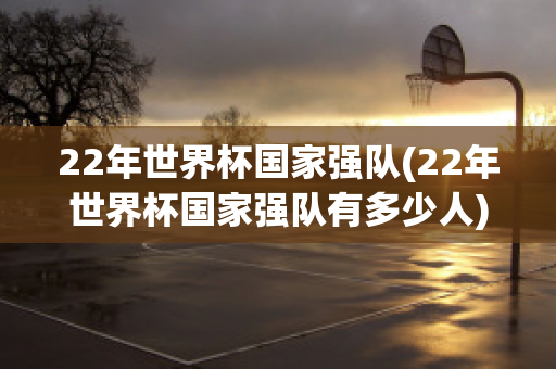 22年世界杯国家强队(22年世界杯国家强队有多少人)