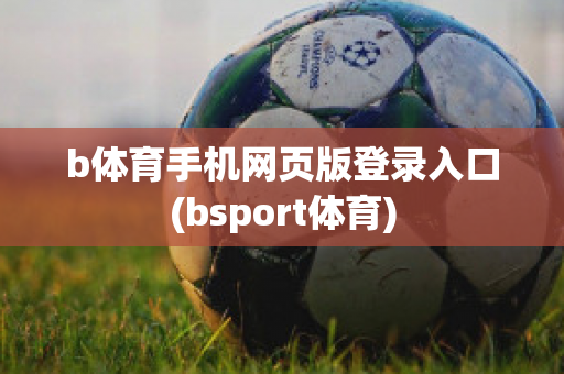 b体育手机网页版登录入口(bsport体育)