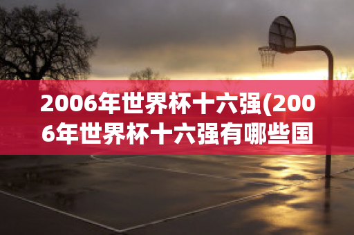 2006年世界杯十六强(2006年世界杯十六强有哪些国家)