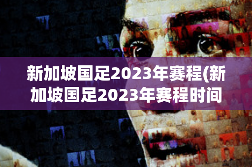 新加坡国足2023年赛程(新加坡国足2023年赛程时间)