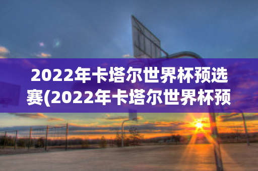 2022年卡塔尔世界杯预选赛(2022年卡塔尔世界杯预选赛葡萄牙)