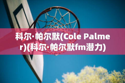 科尔·帕尔默(Cole Palmer)(科尔·帕尔默fm潜力)