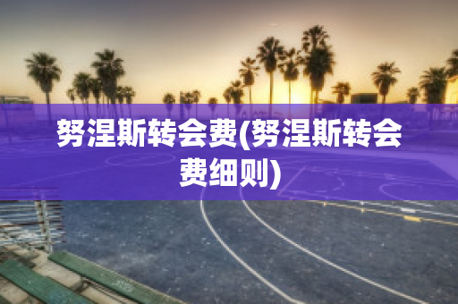 努涅斯转会费(努涅斯转会费细则)