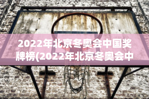 2022年北京冬奥会中国奖牌榜(2022年北京冬奥会中国奖牌榜第几)