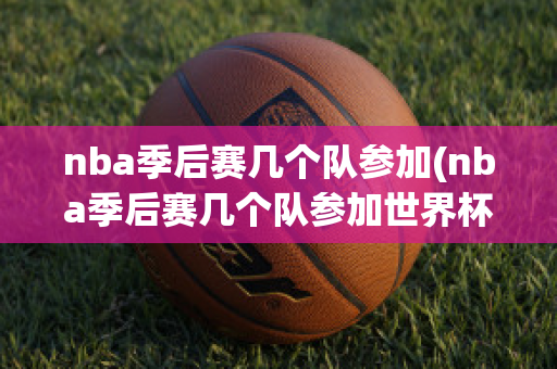 nba季后赛几个队参加(nba季后赛几个队参加世界杯)