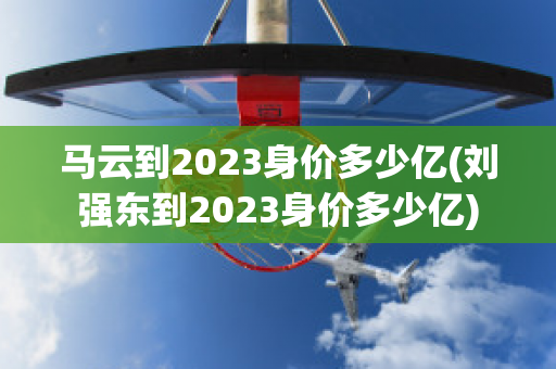 马云到2023身价多少亿(刘强东到2023身价多少亿)