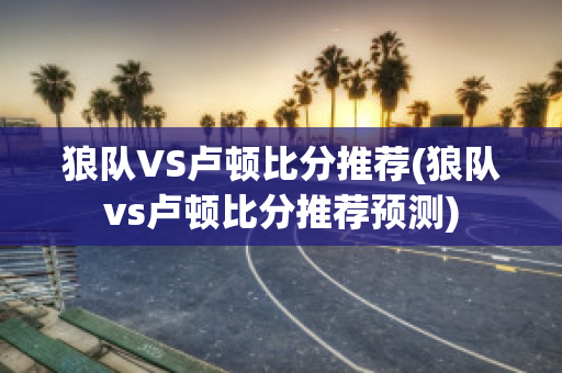 狼队VS卢顿比分推荐(狼队vs卢顿比分推荐预测)