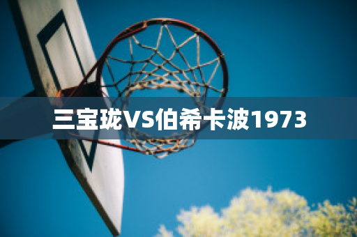 三宝珑VS伯希卡波1973