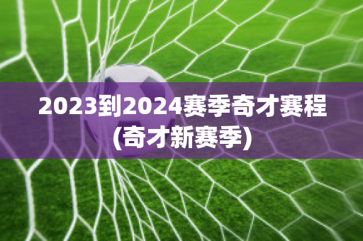 2023到2024赛季奇才赛程(奇才新赛季)