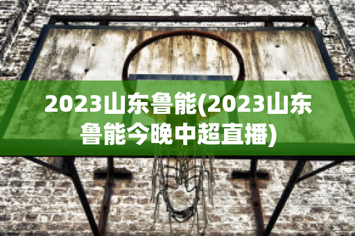 2023山东鲁能(2023山东鲁能今晚中超直播)