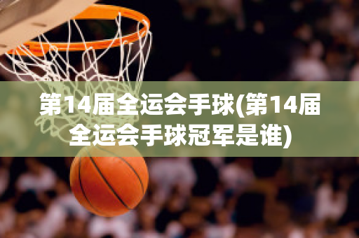 第14届全运会手球(第14届全运会手球冠军是谁)