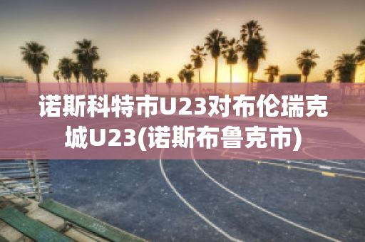 诺斯科特市U23对布伦瑞克城U23(诺斯布鲁克市)