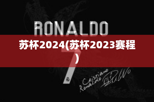 苏杯2024(苏杯2023赛程)