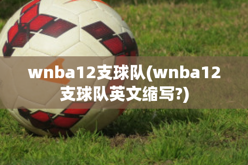 wnba12支球队(wnba12支球队英文缩写?)