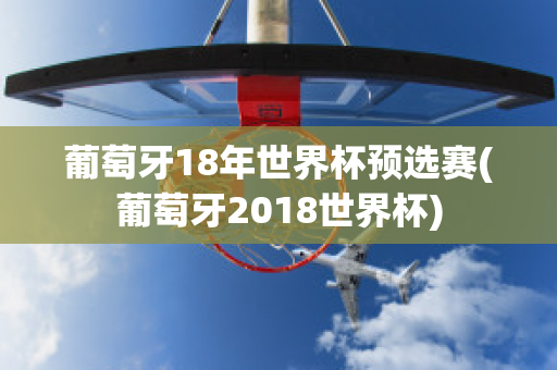 葡萄牙18年世界杯预选赛(葡萄牙2018世界杯)