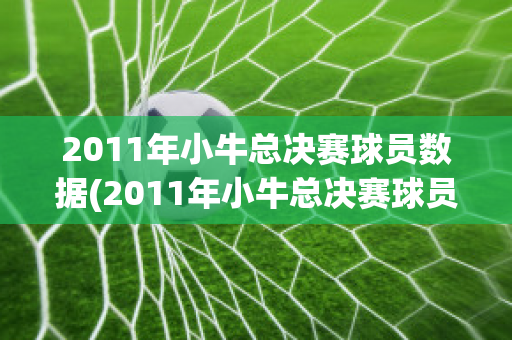 2011年小牛总决赛球员数据(2011年小牛总决赛球员数据分析)