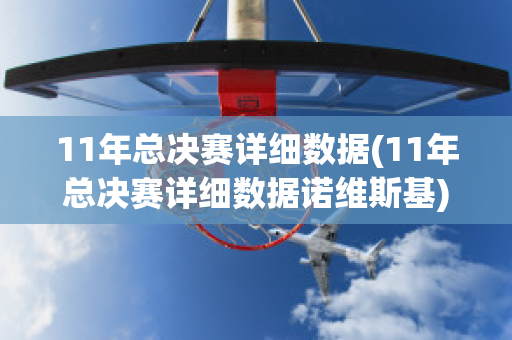 11年总决赛详细数据(11年总决赛详细数据诺维斯基)