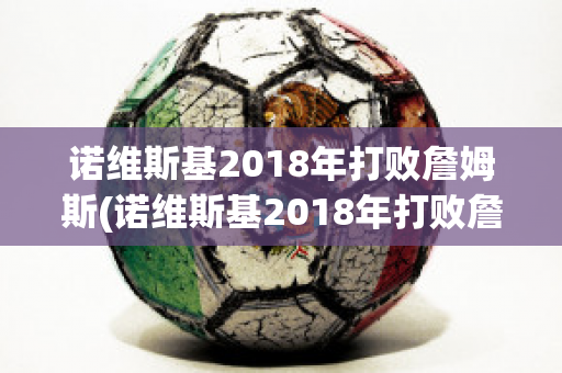 诺维斯基2018年打败詹姆斯(诺维斯基2018年打败詹姆斯视频)