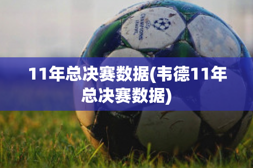 11年总决赛数据(韦德11年总决赛数据)