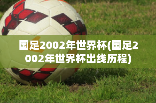 国足2002年世界杯(国足2002年世界杯出线历程)