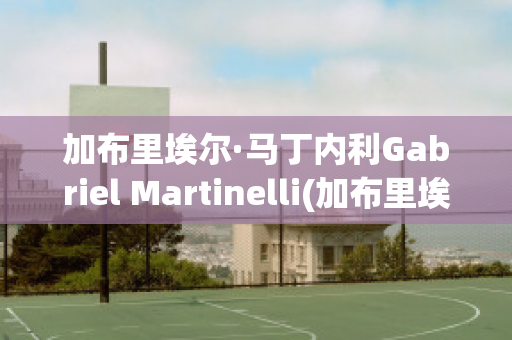 加布里埃尔·马丁内利Gabriel Martinelli(加布里埃尔·马丁内利号码)