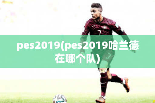 pes2019(pes2019哈兰德在哪个队)