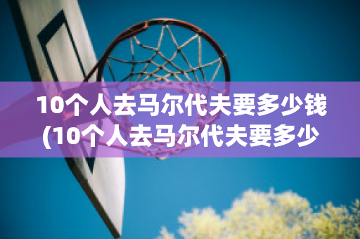 10个人去马尔代夫要多少钱(10个人去马尔代夫要多少钱一个月)