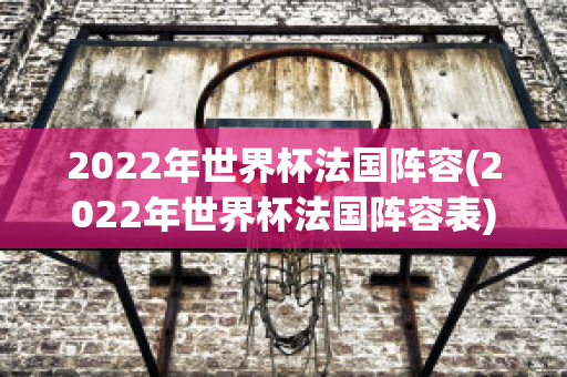 2022年世界杯法国阵容(2022年世界杯法国阵容表)