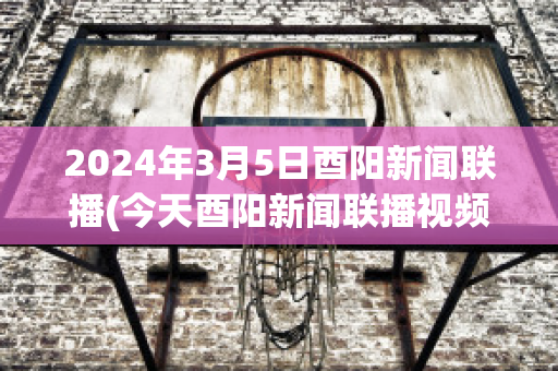 2024年3月5日酉阳新闻联播(今天酉阳新闻联播视频)